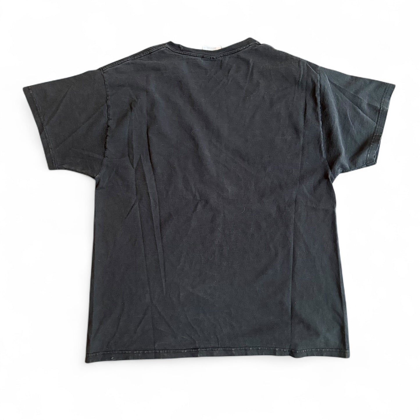 1990s Link In Park A Thousand Suns Tee