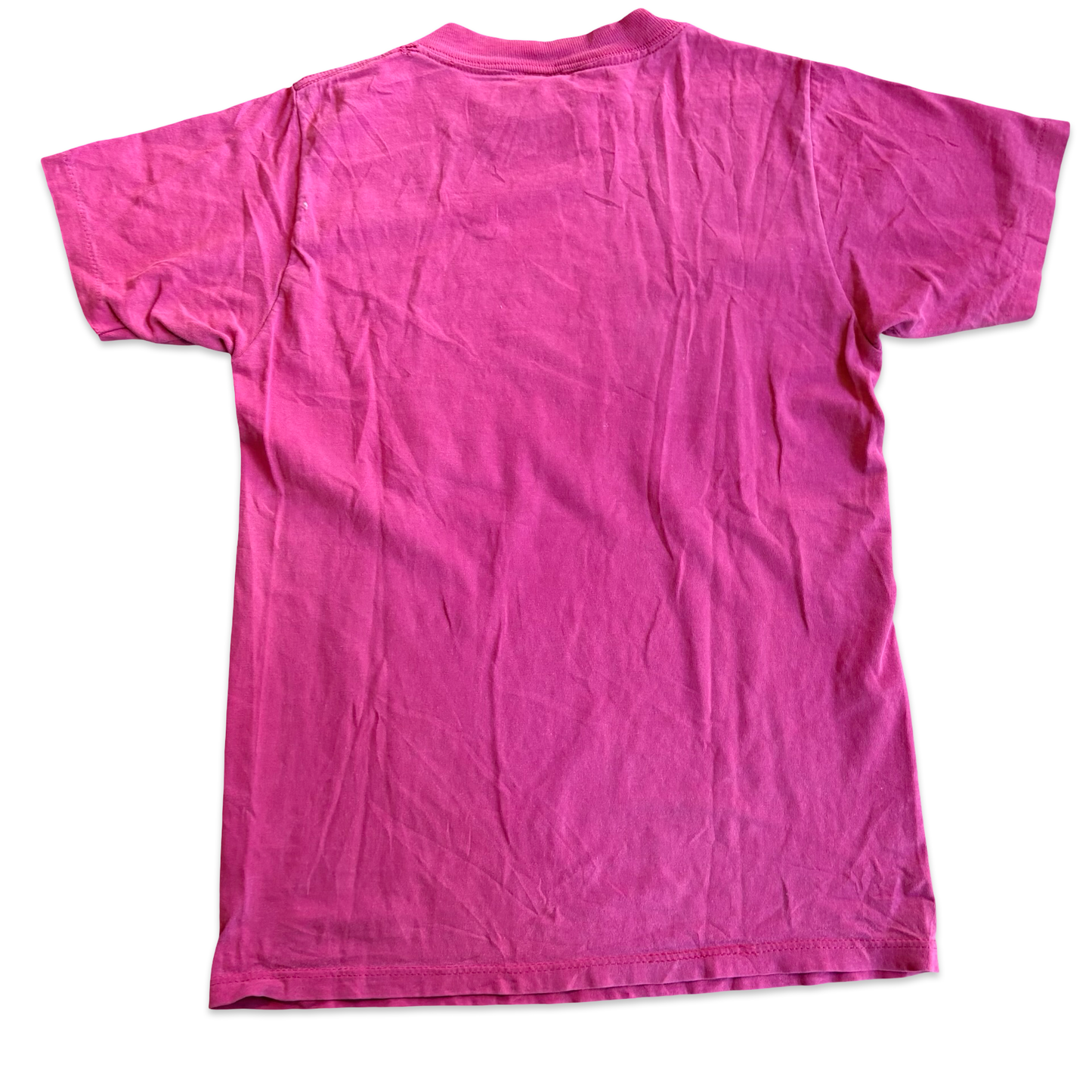 1990s Alaska’s Favorite Race The Salmon Run Graphic Tshirt