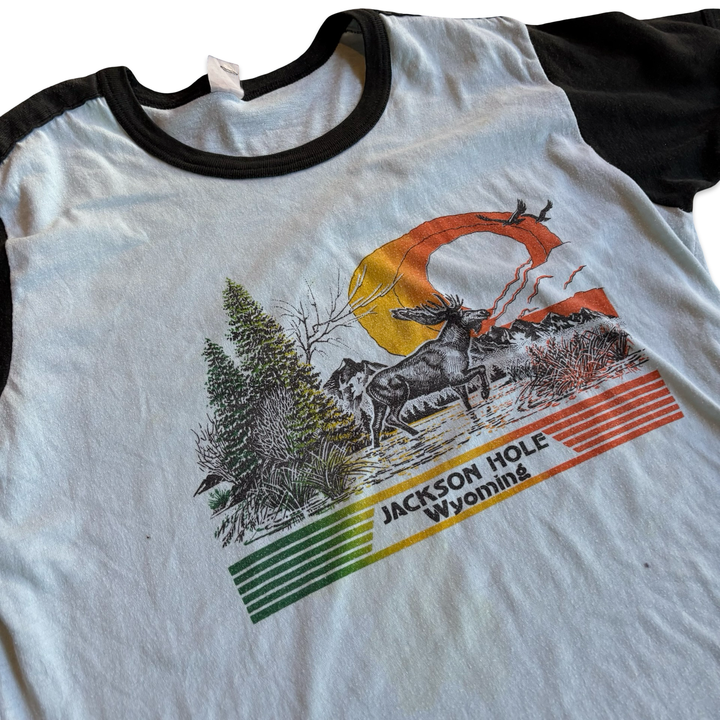 1980s Jackson Hole Wyoming Black Sleeve Graphic Tshirt