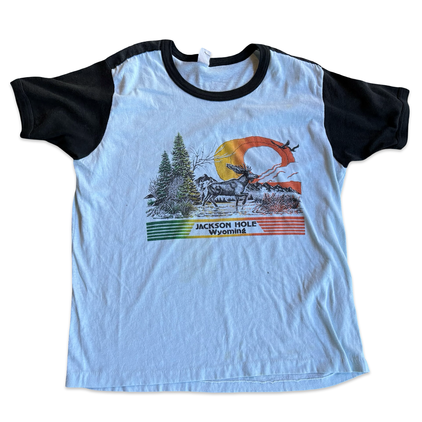 1980s Jackson Hole Wyoming Black Sleeve Graphic Tshirt